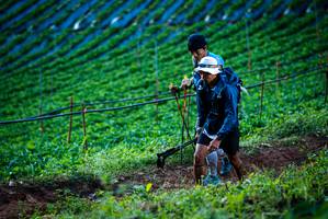 BIB: 
                            <button type="button" onclick="openModal(19160033)" class="btn btn-primary btn-sm float-right btn-popup" data-toggle="modal" data-target=".modal-high-quality">
                        <i class="fas fa-shopping-cart"></i> Add to Cart
                    </button>
                                            <button type="button" onclick="isThisMe(19160033, true)" class="btn btn-success btn-sm float-right btn-popup btn-isme hidden" data-toggle="tooltip" data-placement="bottom" title="นี่คือรูปของคุณใช่ไหม คลิกที่นี่เพื่อเอาเข้าอัลบั้ม">
                        <i class="fas fa-plus"></i> Add to album
                    </button>
                    <button type="button" onclick="isThisMe(19160033, false)" class="btn btn-warning btn-sm float-right btn-popup btn-isnotme hidden">
                        <i class="fas fa-ban"></i> Remove from album
                    </button>